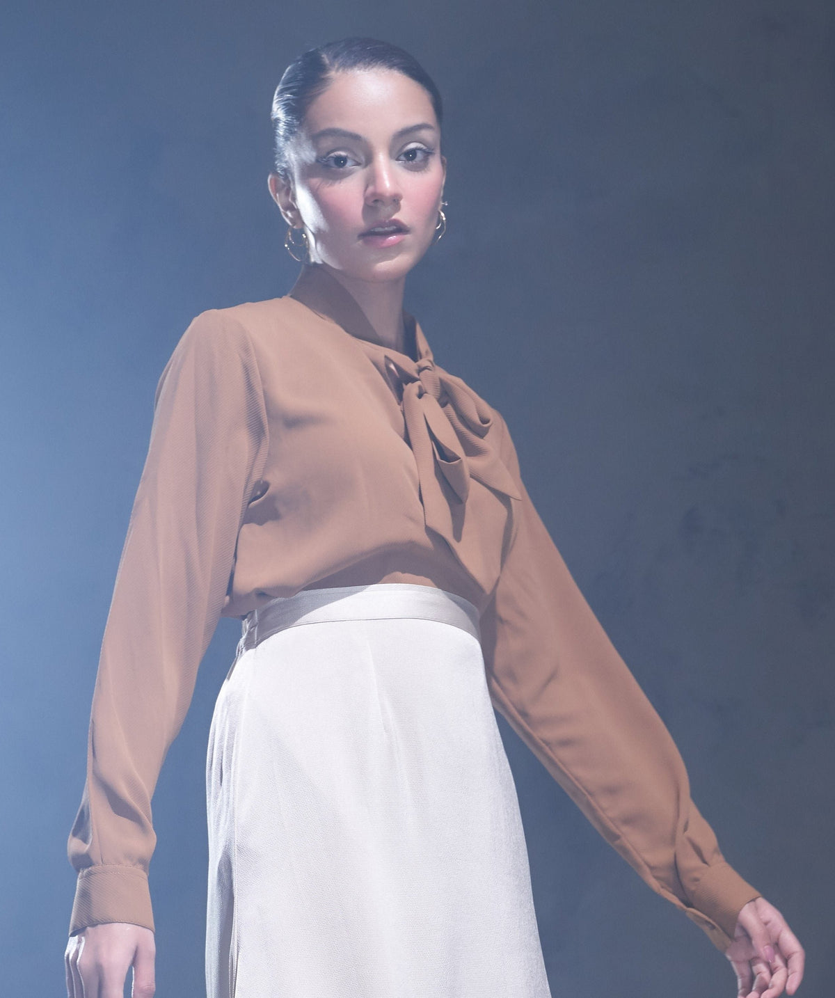 Brown blouse